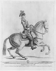 El caballero d